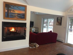 TV, fireplace, books