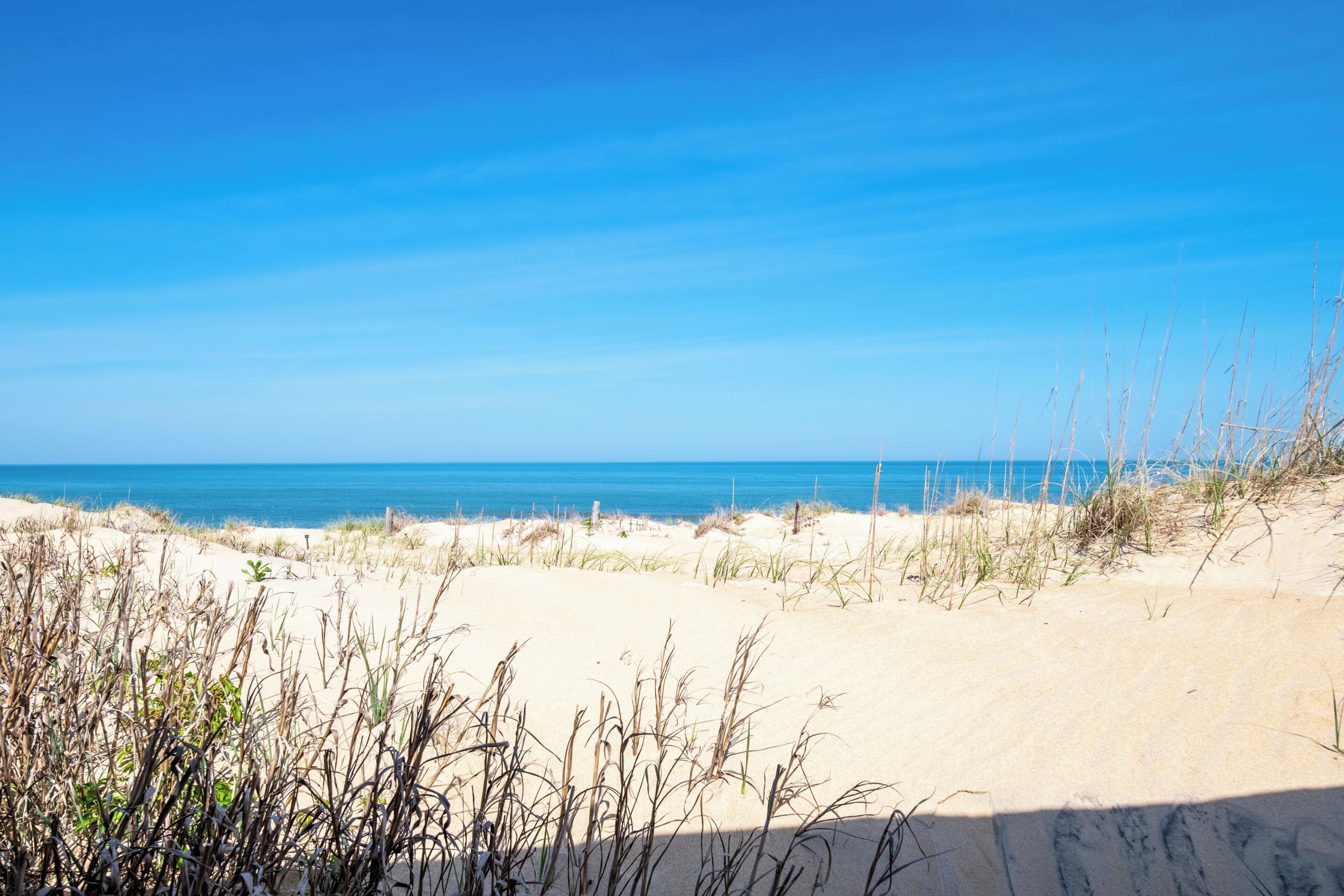 A sandy beach with dunes and sparse vegetation.