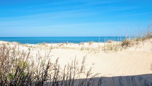 Una playa arenosa con dunas y vegetación escasa.