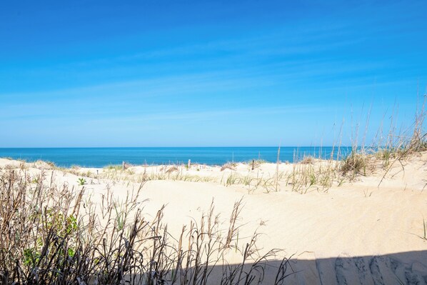 On the beach - Wayfarer's Rest - Kitty Hawk MP 3.5, Oceanfront, Ocean View, Watch Dolphins & Pelicans (Kitty Hawk)