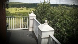 A balcony with a view of wind turbines and a green landscape. - A luxury hunting lodge  (Merkel)