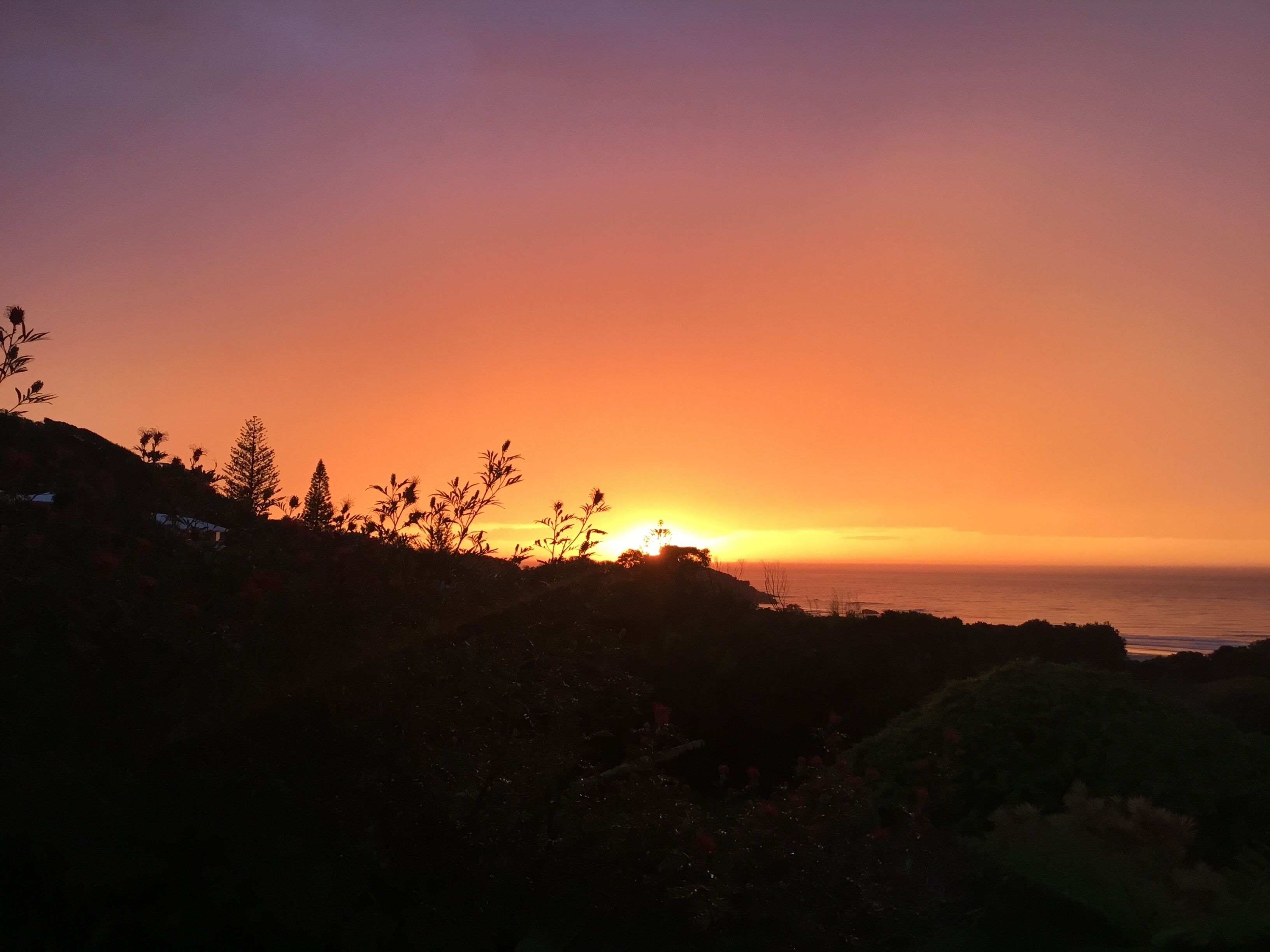 A sunset over a coastal landscape with silhouettes of vegetation and a distant horizon.