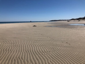 Playa en los alrededores y camastros 