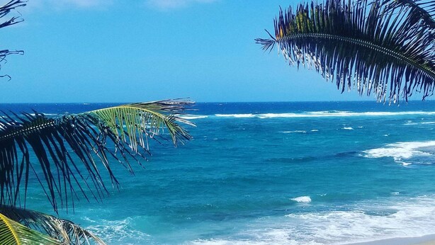 A beach with clear blue water and palm trees.
