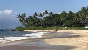 A beach with palm trees and umbrellas.