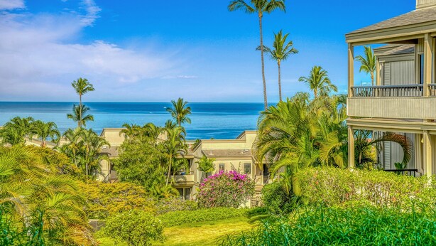 A coastal property with a view of the ocean, surrounded by lush greenery and palm trees.