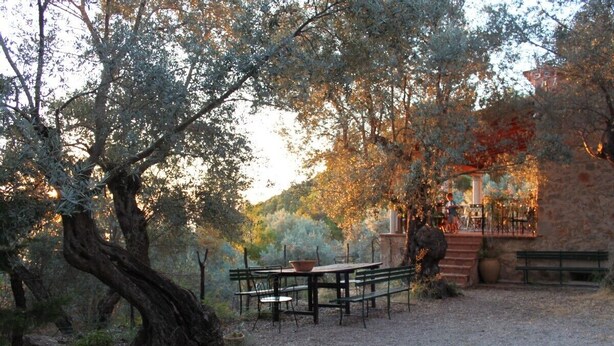 A rustic outdoor dining area with a table and benches, surrounded by trees and a stone building with a staircase.