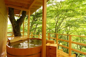 Aguas termales