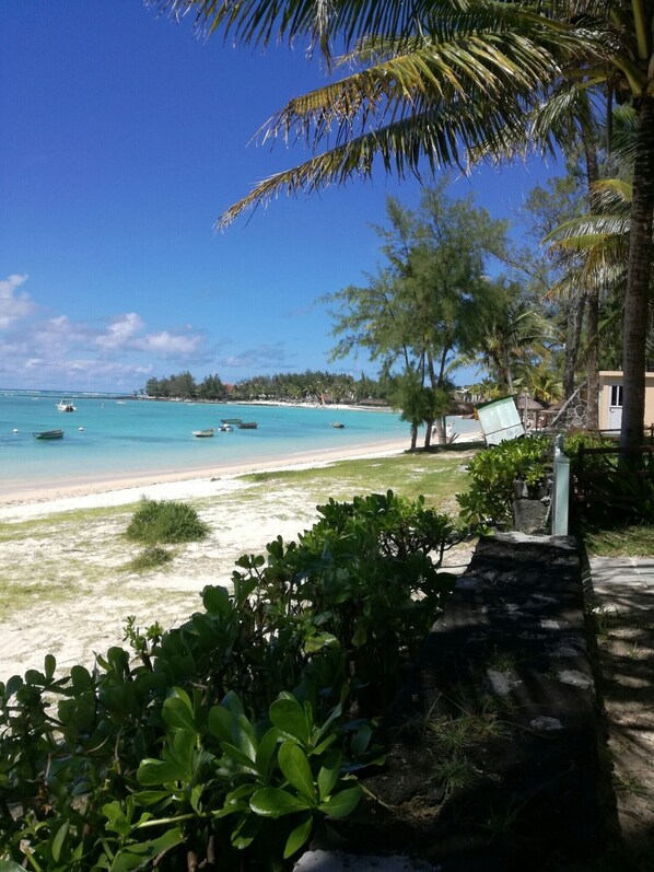 Playa en los alrededores, camastros y toallas de playa 