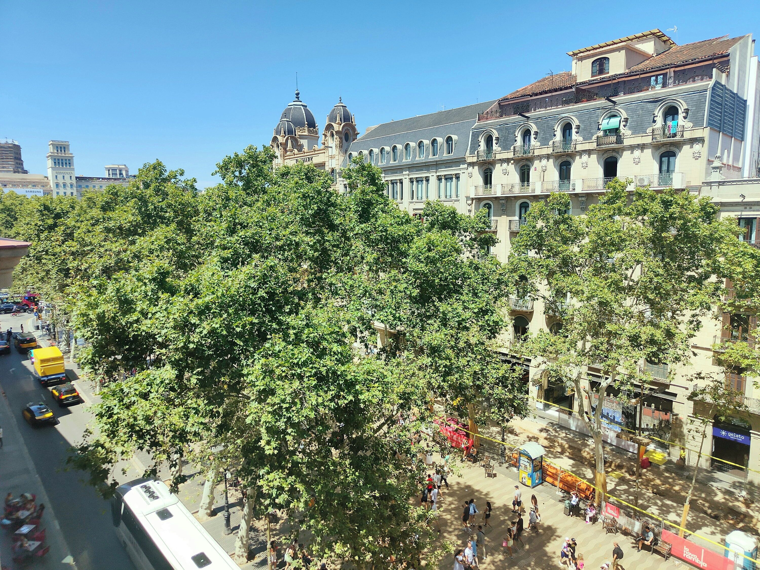 A street scene with a large building featuring domed architecture, a tree-lined sidewalk, and a bus.