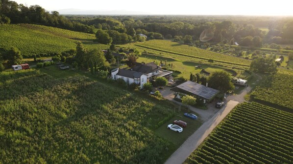 Vue aérienne d’une propriété comprenant une grande maison, plusieurs voitures et de vastes vignobles.