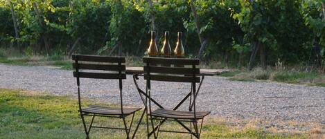 Un montaje para picnic con dos bancos de madera y una mesa, junto con tres botellas, con un viñedo y un camino de grava como fondo.