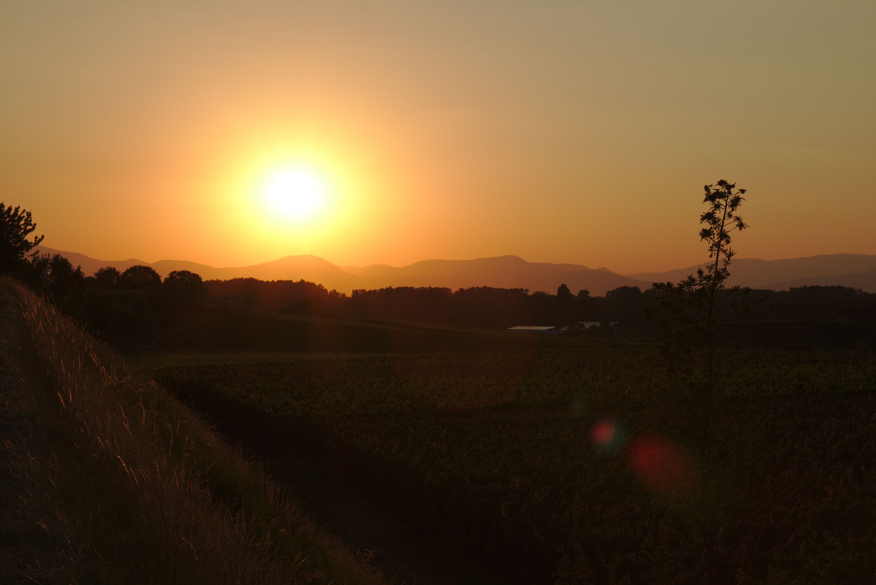 A sunset over a hilly landscape with a clear sky.
