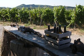 Une table en bois rustique, ornée de bouteilles de vin et d’une carafe, dans un décor de vignoble.
