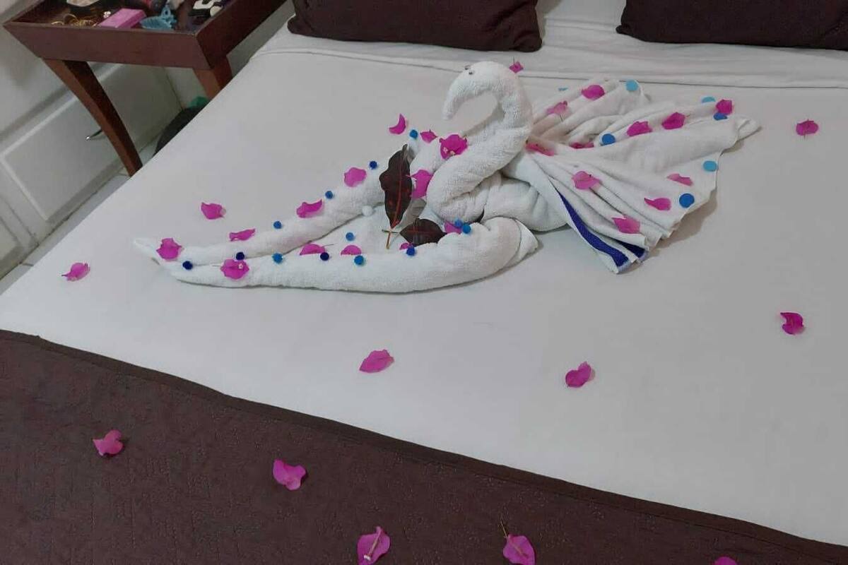 A bed with a towel arranged in a swan shape, scattered rose petals, and a striped pillow.