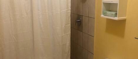 A bathroom with a toilet, shower, and a cabinet.