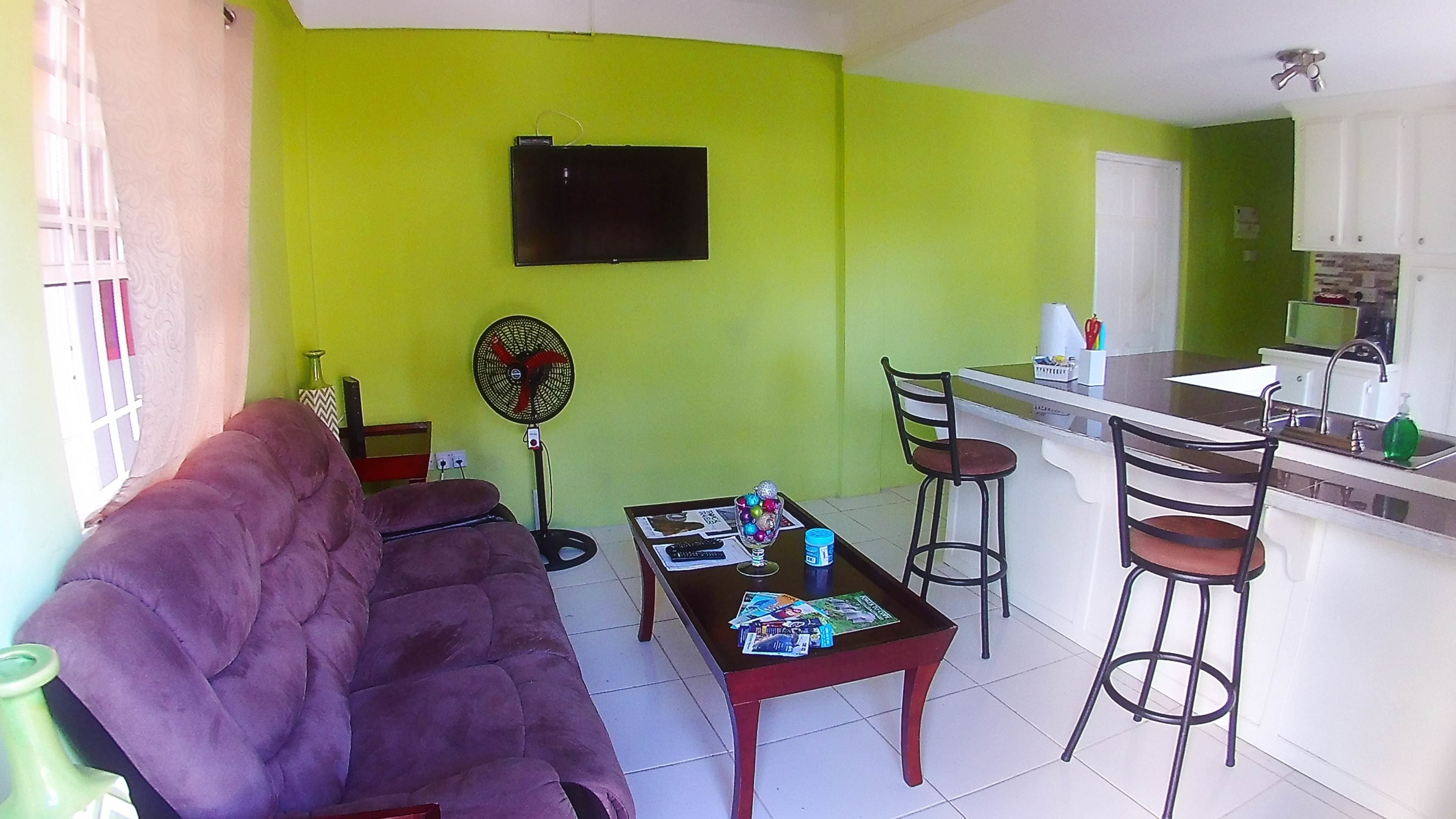 A living room with a purple sofa, a dining table with chairs, a TV mounted on the wall, and a kitchen area with a sink and countertop.