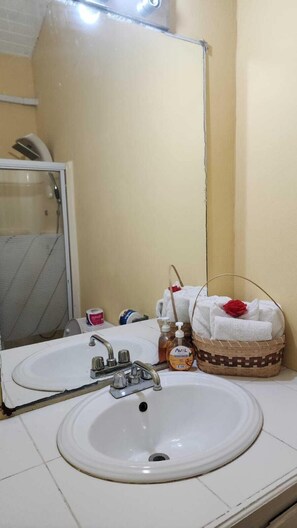 Apartment, 1 Queen Bed, Non Smoking, Mountain View | Bathroom | Shower, rainfall showerhead, free toiletries, hair dryer