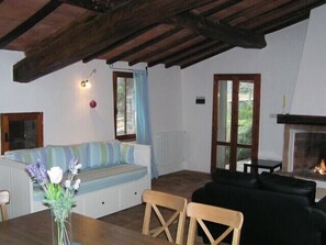 Télévision, cheminée, lecteur de DVD