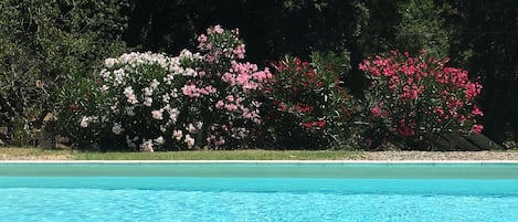 Piscina all'aperto, una piscina riscaldata