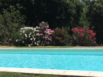 Rustico, countryside, 1.6 hectometer large property, w/olive trees & vineyard