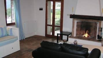 TV, fireplace, DVD player