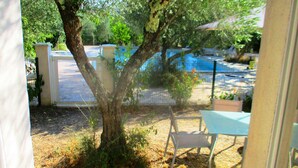 Un árbol en un patio trasero con una silla y una mesa.