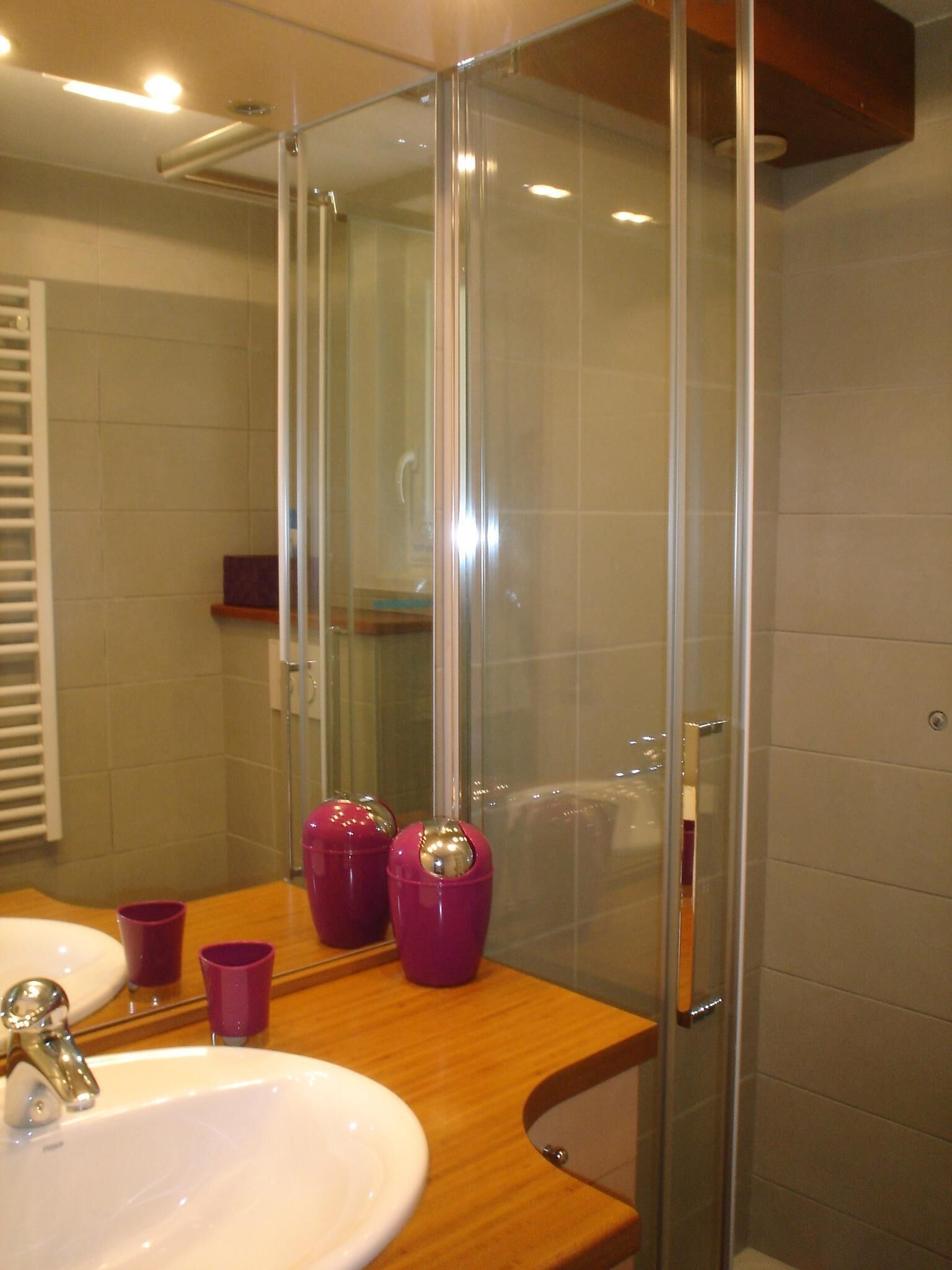 Shower, hair dryer