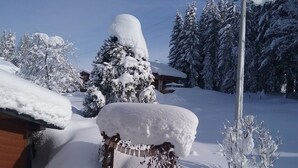 Paisagem coberta de neve com uma casa, árvores e um poste telefônico.