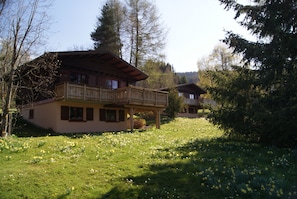 Esterni