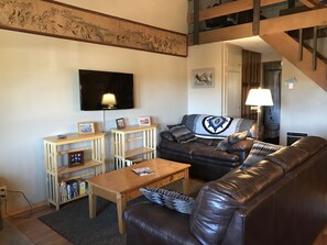 Télévision, cheminée, lecteur de DVD, livres