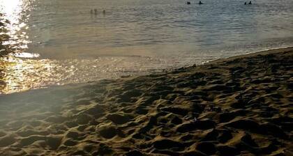 Bungalows with swimming pool with breathtaking sea and mountain views for 4 people each