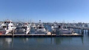 A marina with multiple boats docked at the pier. - Ocean View Beach House On Jersey Ct just steps to the beach (San Diego)