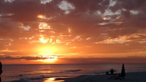 بالقرب من الشاطئ، كراسي للتشمس