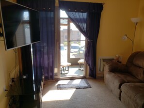 Télévision, lecteur de DVD, livres, vidéothèque