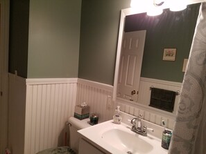 Een bad/douchecombinatie, een haardroger, toiletpapier