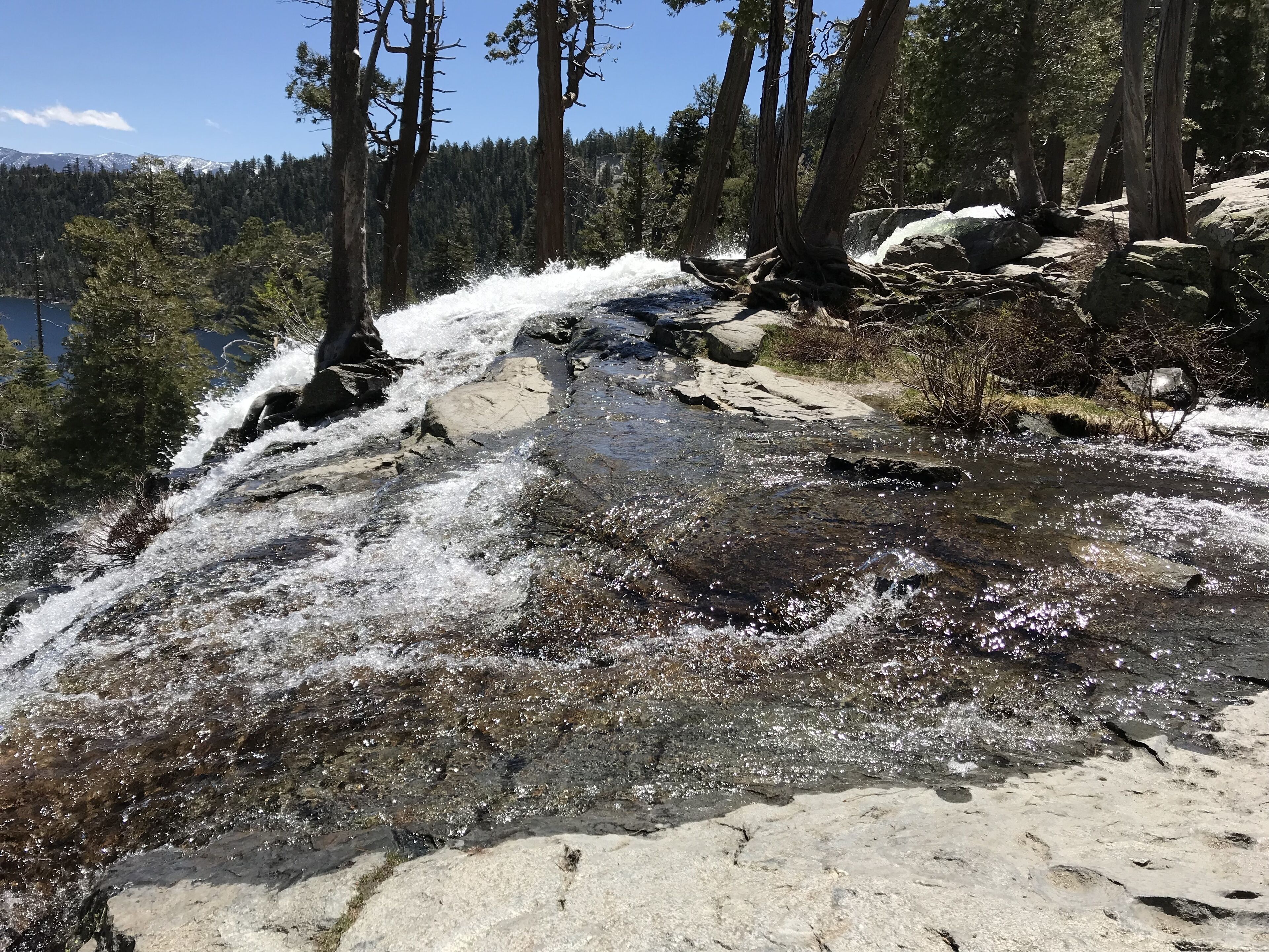 A rocky stream with clear water flowing over rocks, surrounded by trees and a mountainous backdrop.