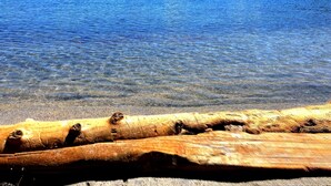 A clear lake with a log in the foreground and a forested hill in the background. - Fun and Relaxing in Tahoe City! (Tahoe City)