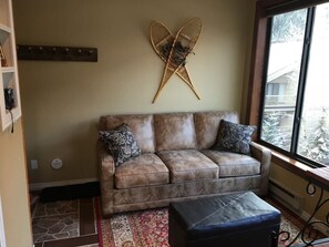 Smart TV, fireplace, music library, video library