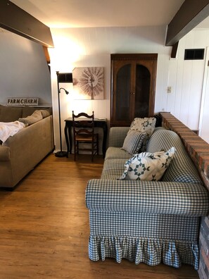 Smart TV, fireplace, DVD player, books