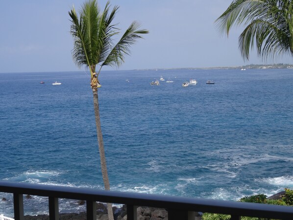 Property grounds - Spectacular Condo: 1 or 2 bedroom - 2 bath Oceanfront (Kailua-Kona)