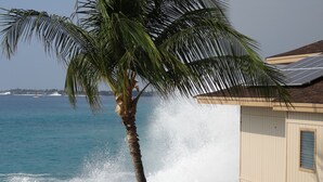 Una palmera frente a un edificio con vista al océano y un barco a lo lejos.