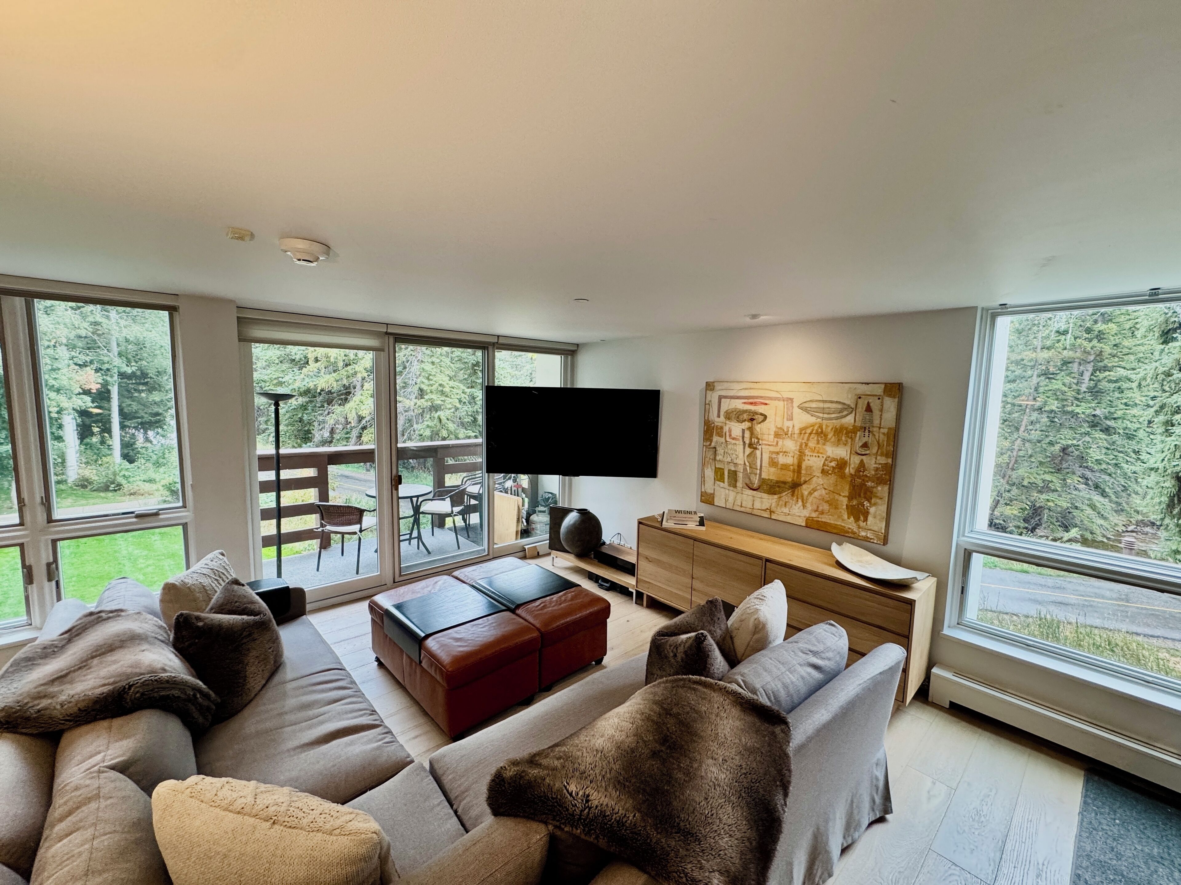 TV connectée, lecteur de DVD, vidéothèque, chaîne hi-fi