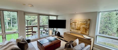 Smart TV, DVD player, video library, stereo