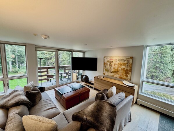 スマートテレビ、DVD プレーヤー、ビデオライブラリ、ステレオ