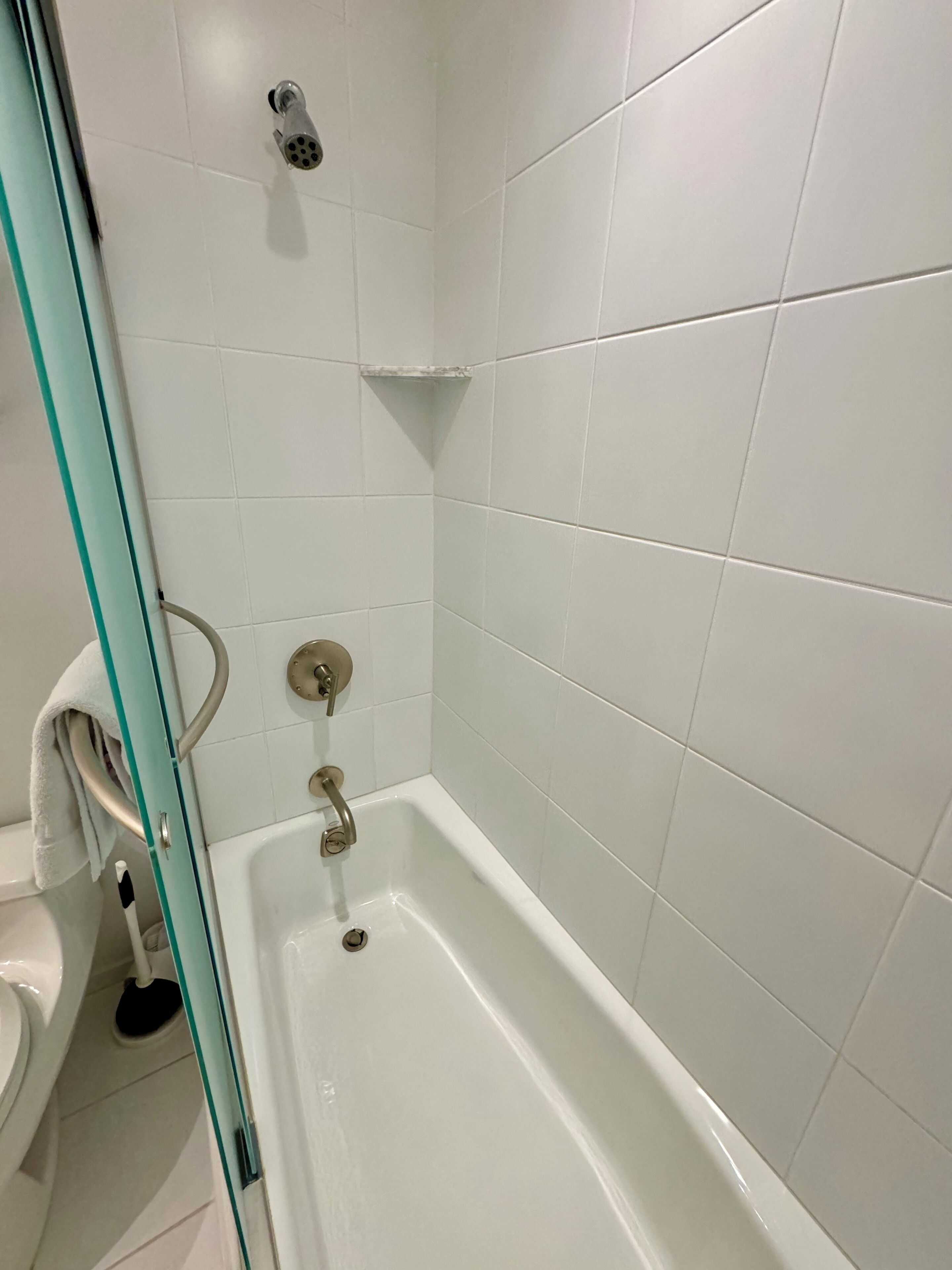 A bathroom with a bathtub, a toilet, and a showerhead.