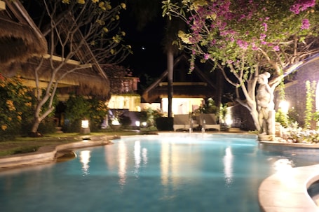 Outdoor pool, sun loungers