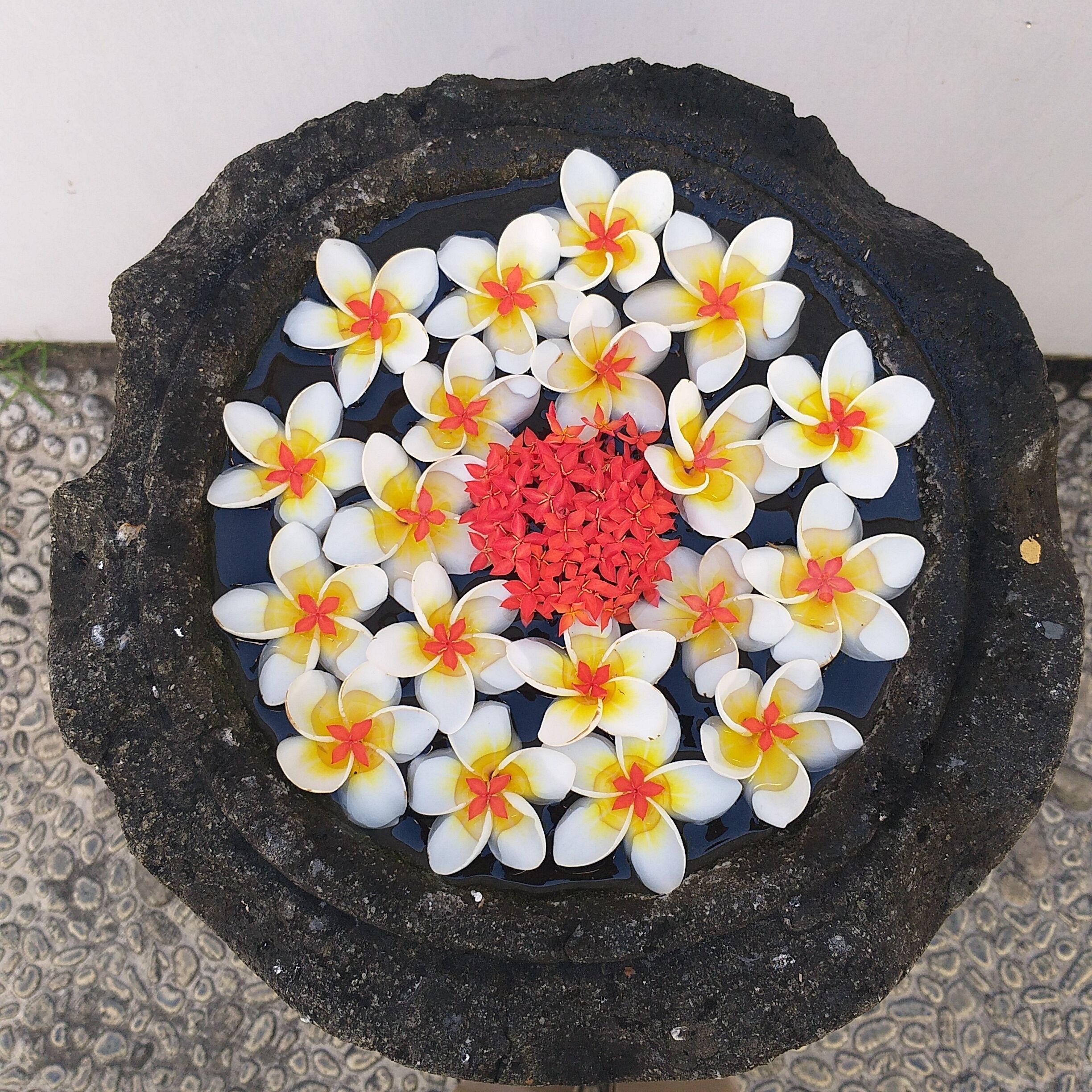 Ein Steinkrug, gefüllt mit weißen und gelben Blüten mit roten Mittelpunkten, umgeben von einer strukturierten Steingrenze.