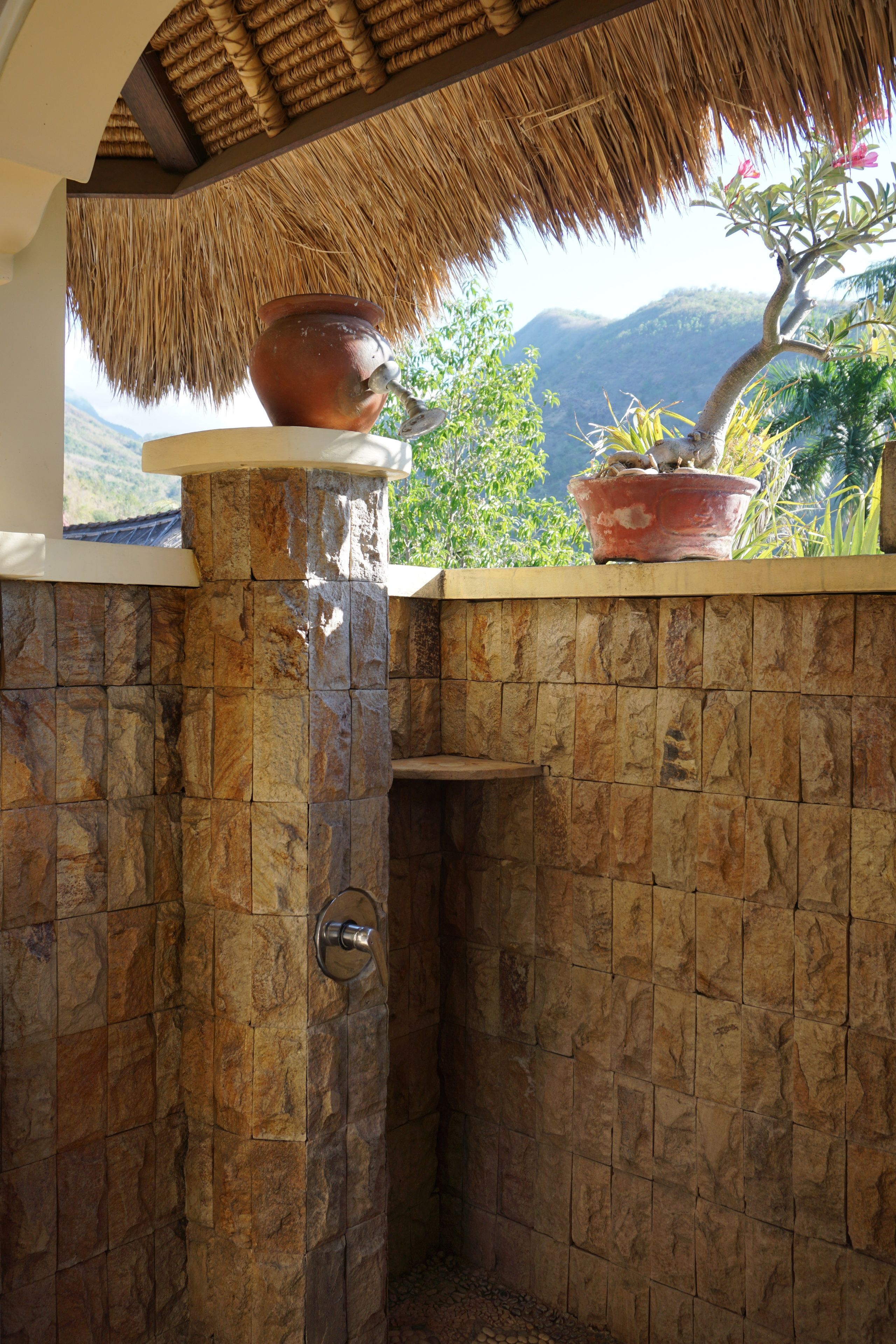 A stone-walled bathroom with a thatched roof, a potted plant, and a view of a mountain.