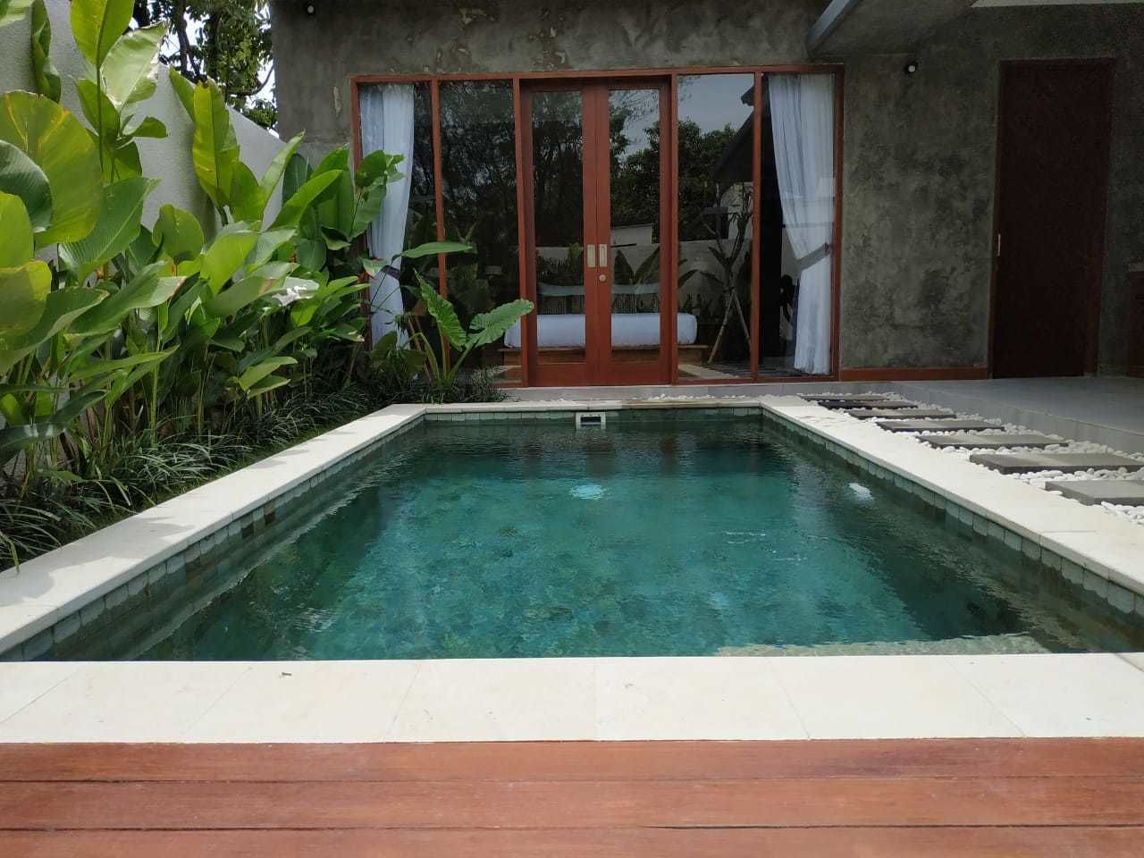 A rectangular swimming pool with a wooden deck in front, surrounded by lush greenery and a concrete wall.